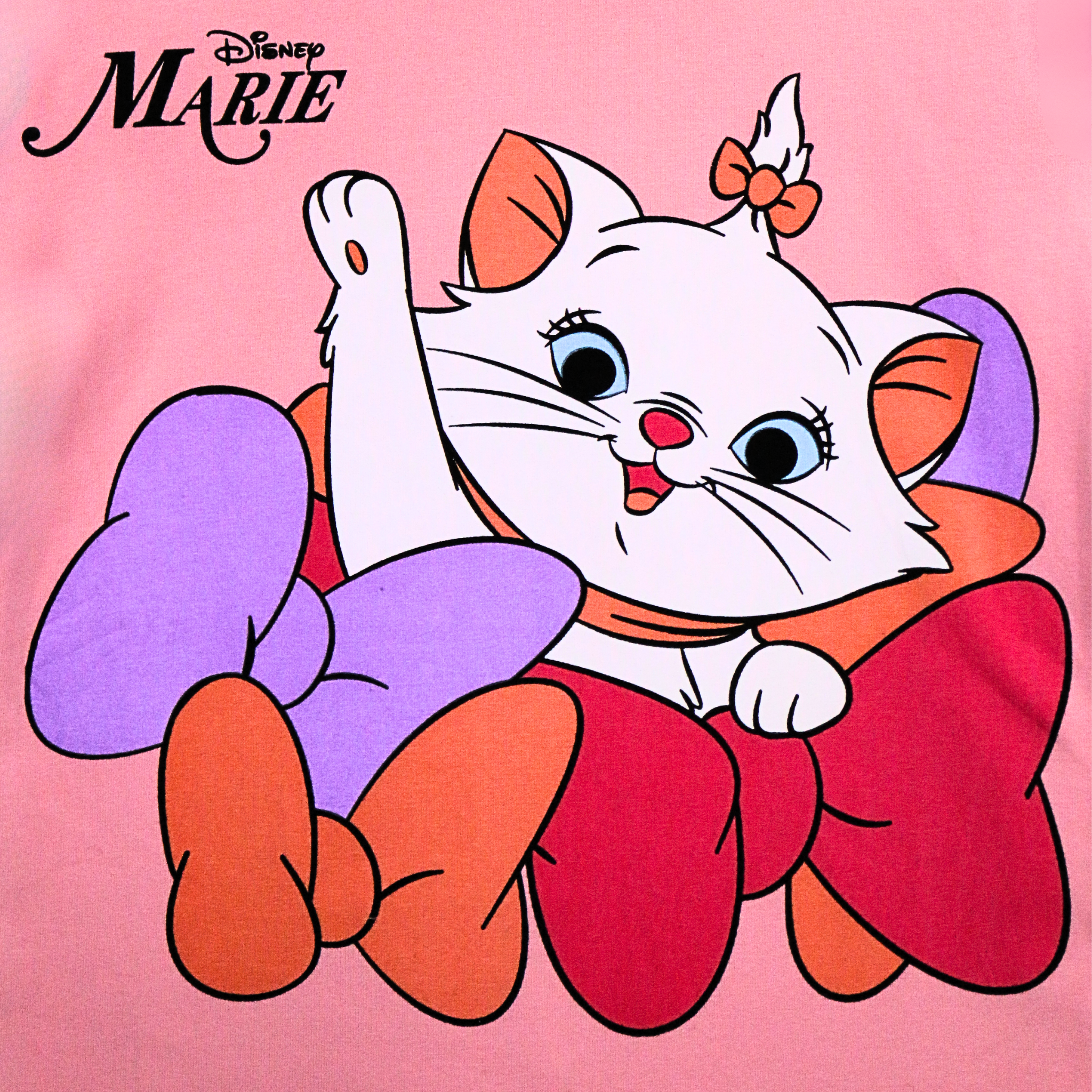 Animated character Marie from Disney on a pink background