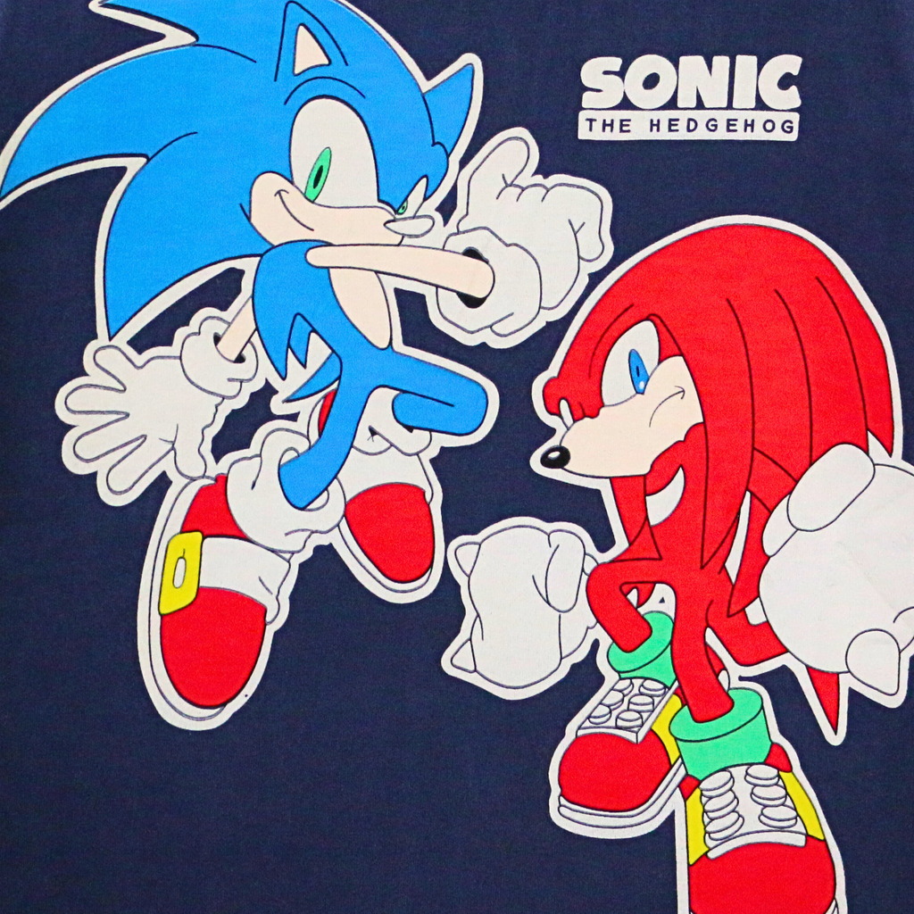 Two animated characters, one blue and one red, on a dark background with 'Sonic the Hedgehog' branding.