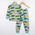 Dinosaurs Multicolor Gray Thermal Long-Sleeves Pajamas (Unisex)
