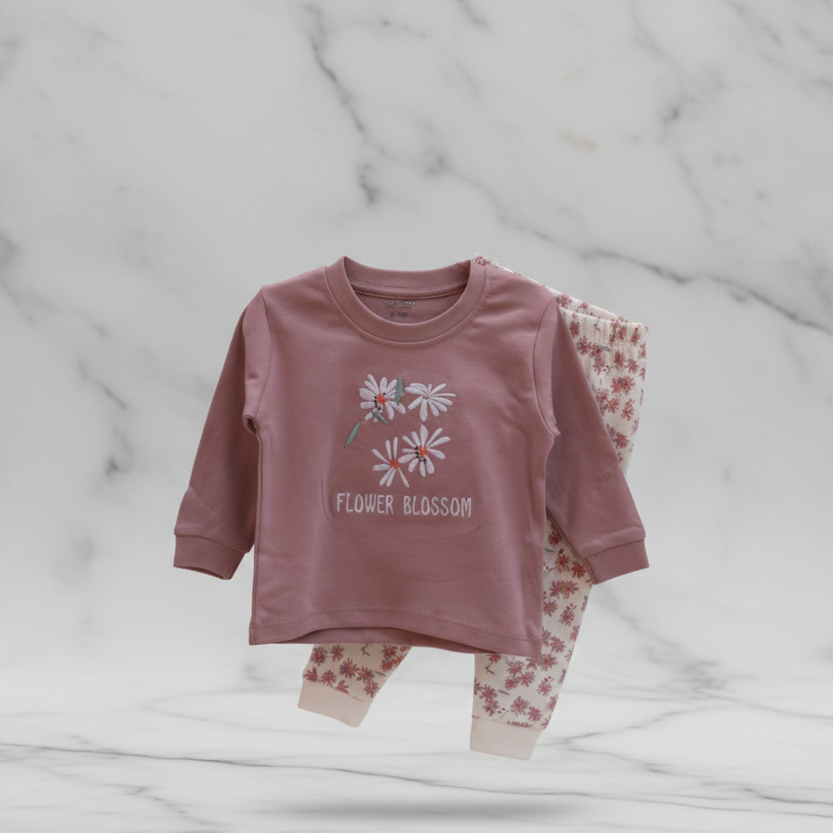 Long Sleeves Printed Baby 2 PCS night suit 112-06